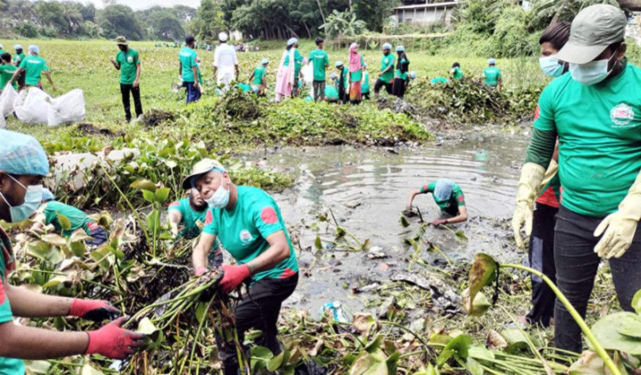 BD Clean News